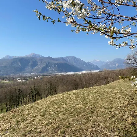 All'antica Scuderia Del Castello Farm stay *