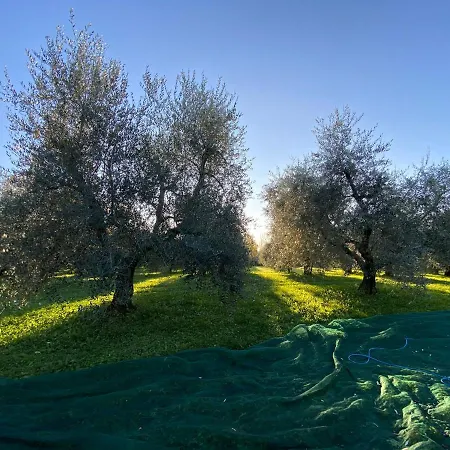 All'antica Scuderia Del Castello *