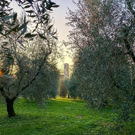 All'antica Scuderia Del Castello Maiano (Friuli Venezia Giulia)