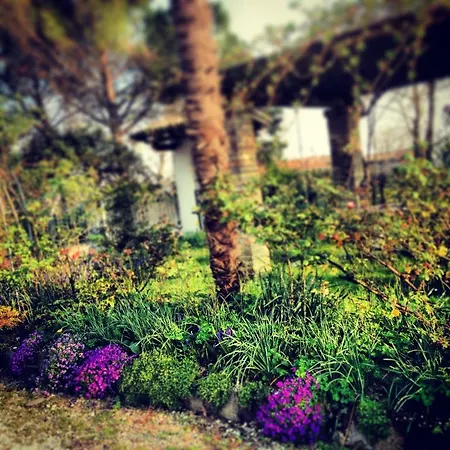 Farma All'antica Scuderia Del Castello Maiano (Friuli Venezia Giulia)